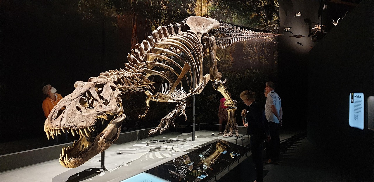 Musei a misura di bambini: la guida alle tappe più divertenti d’Italia per tutta la famiglia